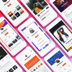 社交应用个人信息管理APP界面设计模板 Profile Mobile App UI Kit