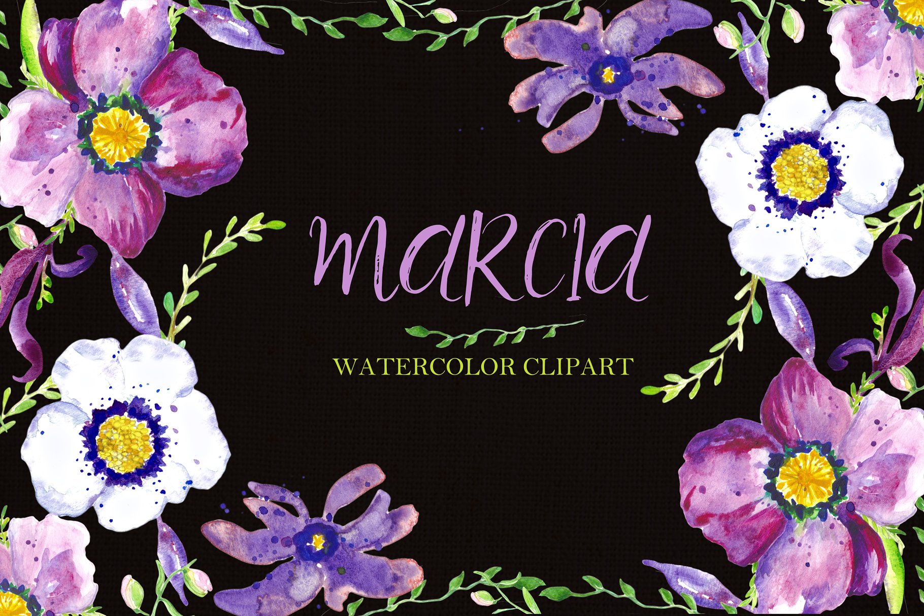 紫色手绘水彩海葵花卉剪贴画 Watercolor clipart Anemone flowers.