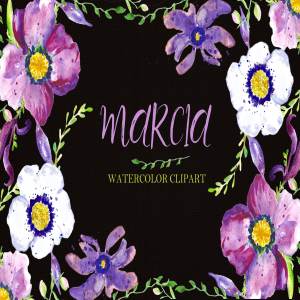 紫色手绘水彩海葵花卉剪贴画 Watercolor clipart Anemone flowers.