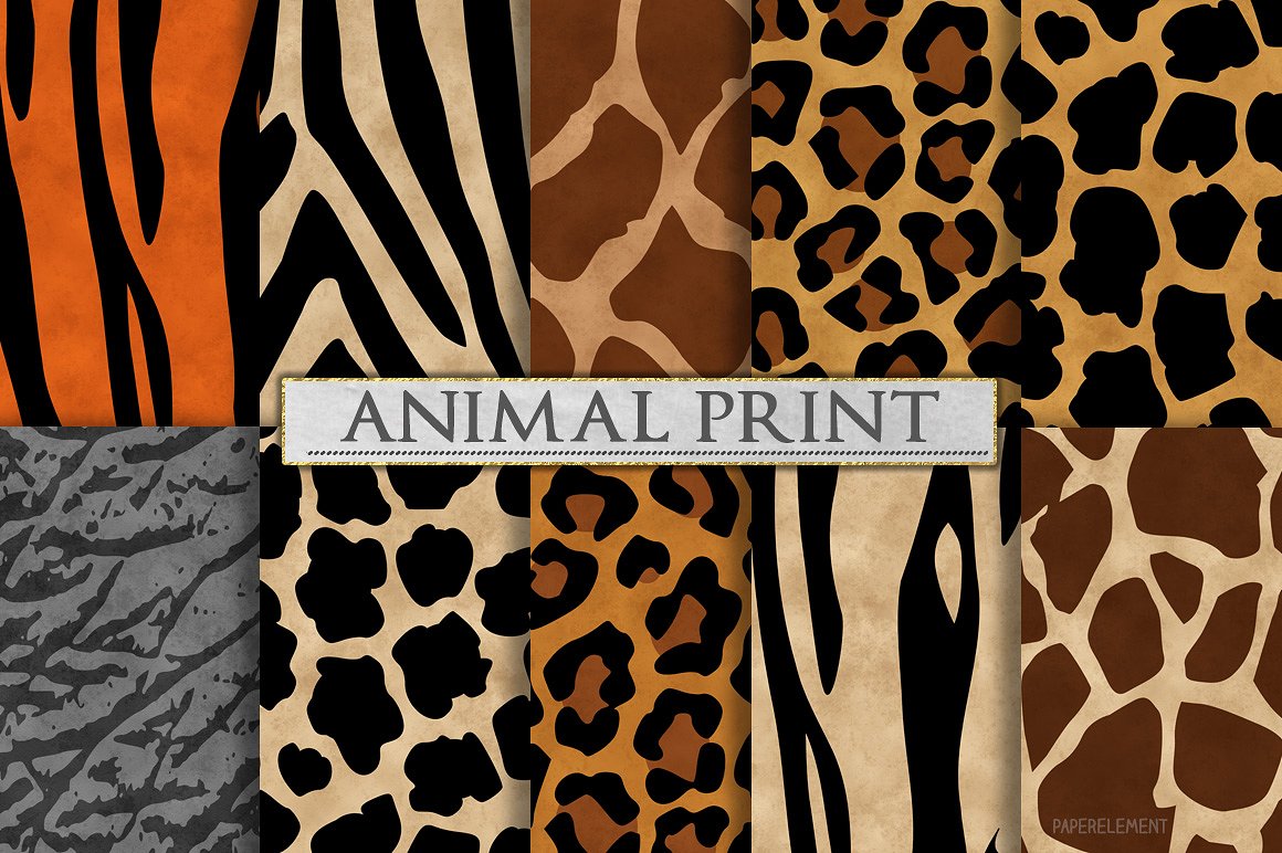 创意动物斑点花纹图案纹理 Animal Print Patterns – Zebra Print