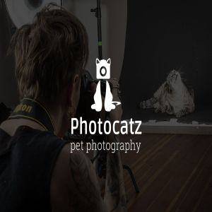 时尚高端的正负空间矛盾空间猫咪宠物摄影徽标logo标志设计模板