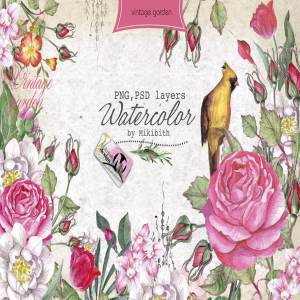 复古花园元素水彩剪贴画合集 Watercolor PSD “Vintage Garden”