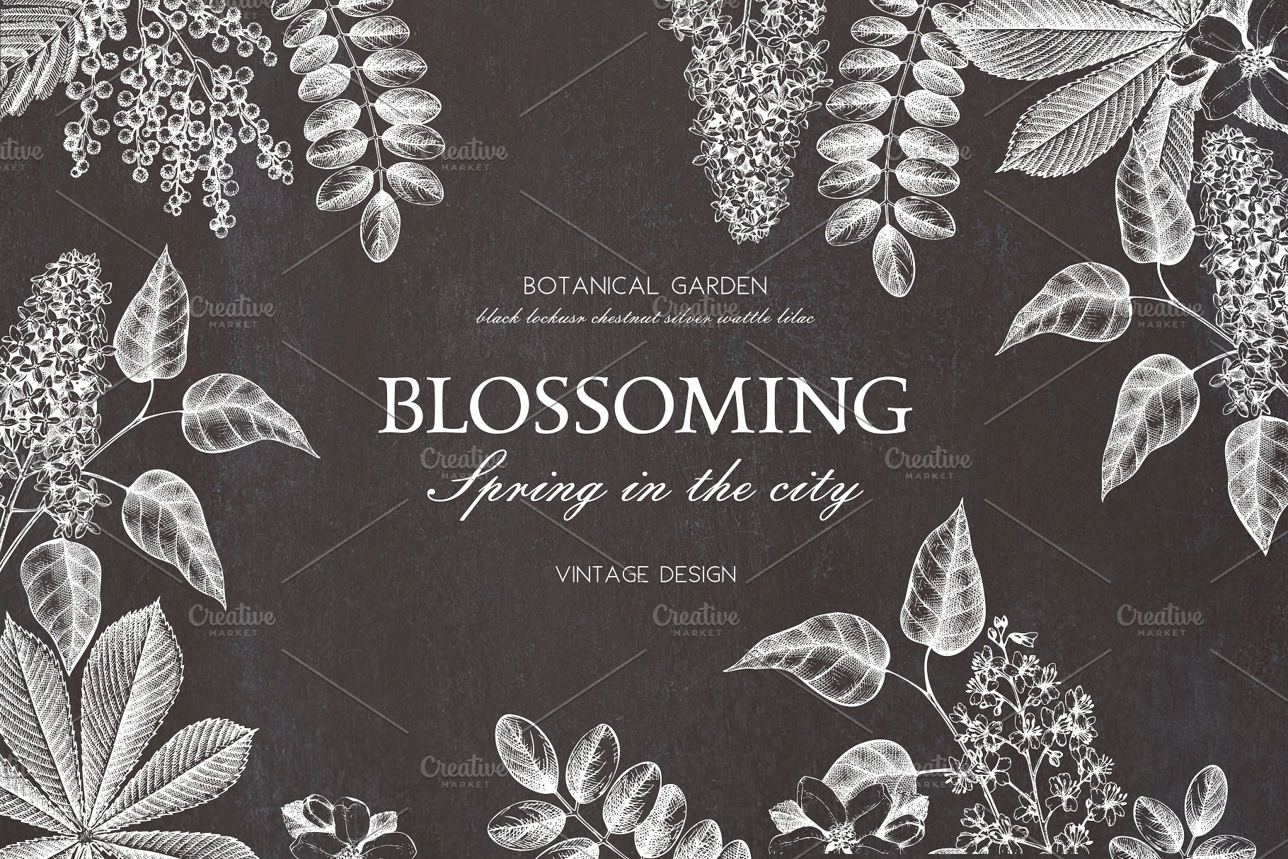 春季树木矢量插画素材 Vector Spring Trees Collection