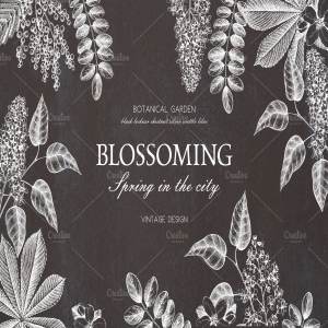 春季树木矢量插画素材 Vector Spring Trees Collection