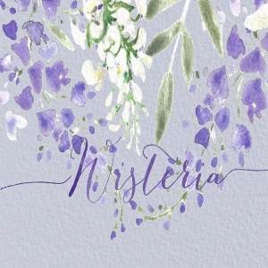 紫藤婚礼婚庆水彩画素材 Wisteria wedding watercolors