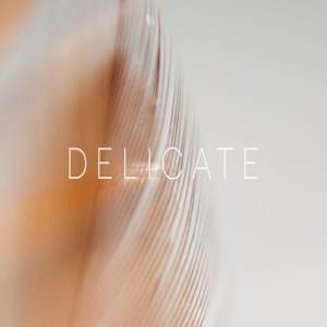 唯美梦幻羽毛高清照片素材 Delicate
