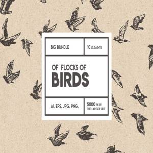 鸟群素描设计素材 Flocks of birds, sketch style