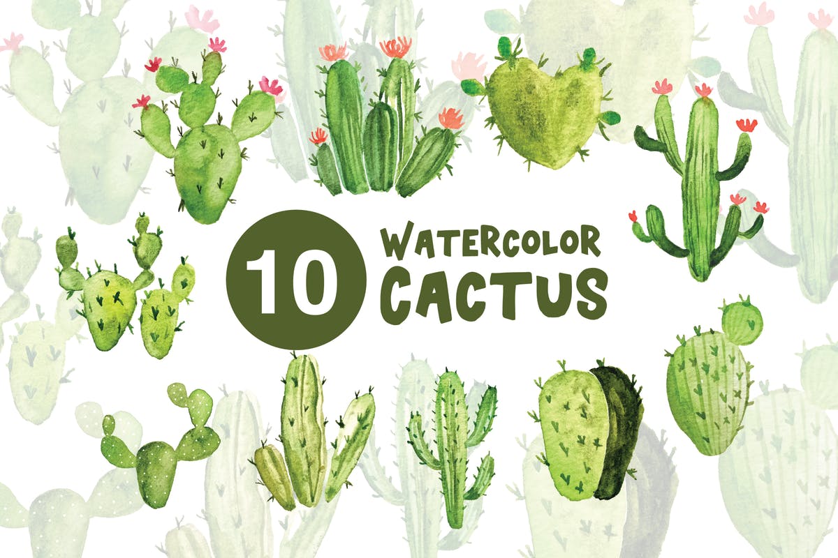 10款绿色植物仙人掌水彩插画 10 Watercolor Cactus Illustrations