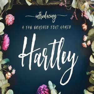 轻舞飞扬般流畅画笔笔刷英文字体 Hartley Rough Brush Script Font