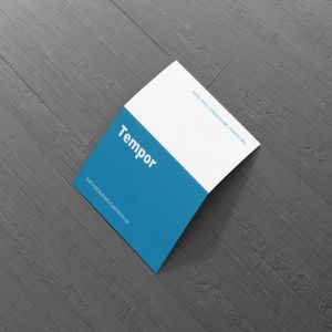 折叠型企业名片卡片平铺样机 Folded Business Card Mockup – Horizontal