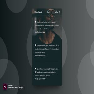 Twitter推特社交网站小部件设计模板 Twitter Widget – Adobe XD