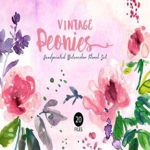 特色复古水彩牡丹剪贴插画素材合集 Vintage Peonies- Watercolor Clip Art