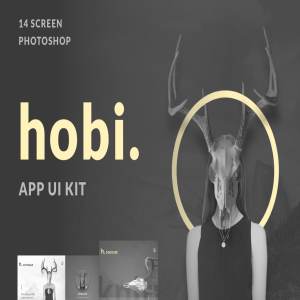 优雅时尚的电子商务UI套件