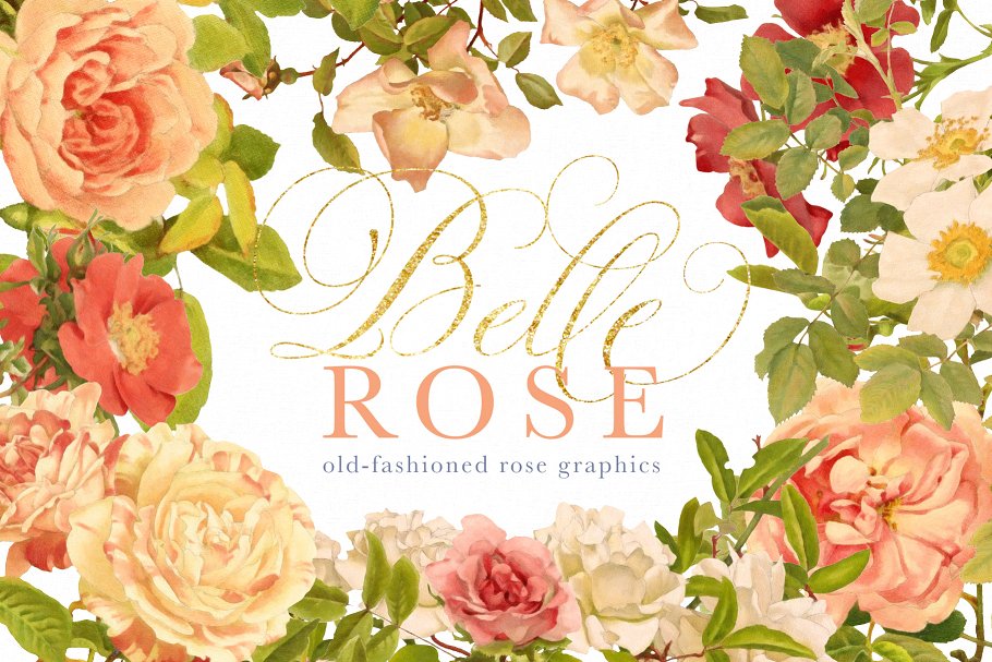旧时尚老派水彩玫瑰花卉剪贴画合集 Belle Rose Antique Graphics Bundle