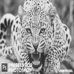 20款摄影大师级别黑白色调照片风格生成PS预设v1 Monochromatic Vol. 1 – 20 Photoshop Presets