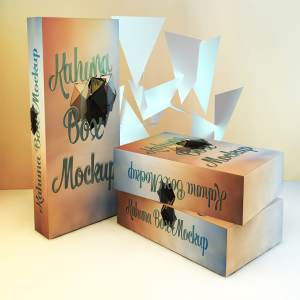 软件应用光碟包装盒样机 Box Mockup Kit