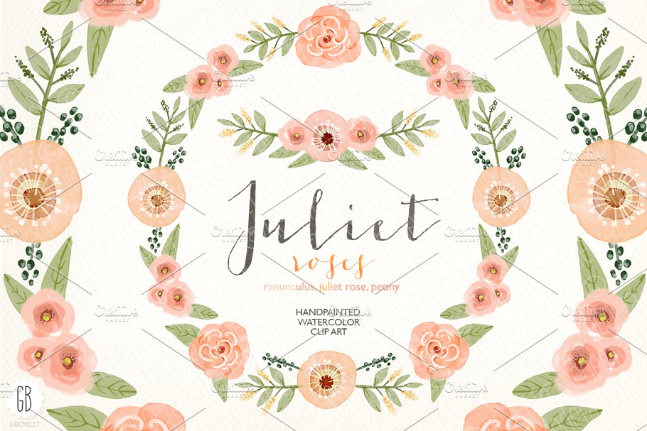 水彩珊瑚橄榄花环素材 Watercolor coral olive floral wreath