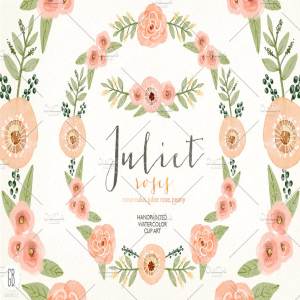 水彩珊瑚橄榄花环素材 Watercolor coral olive floral wreath