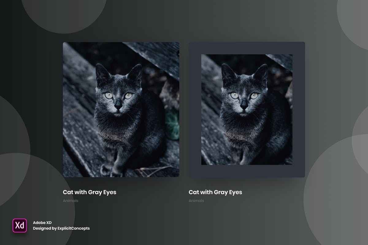 创意网站作品集悬停状态界面设计模板Vol.5 Portfolio Hover State Vol 05 – Adobe XD