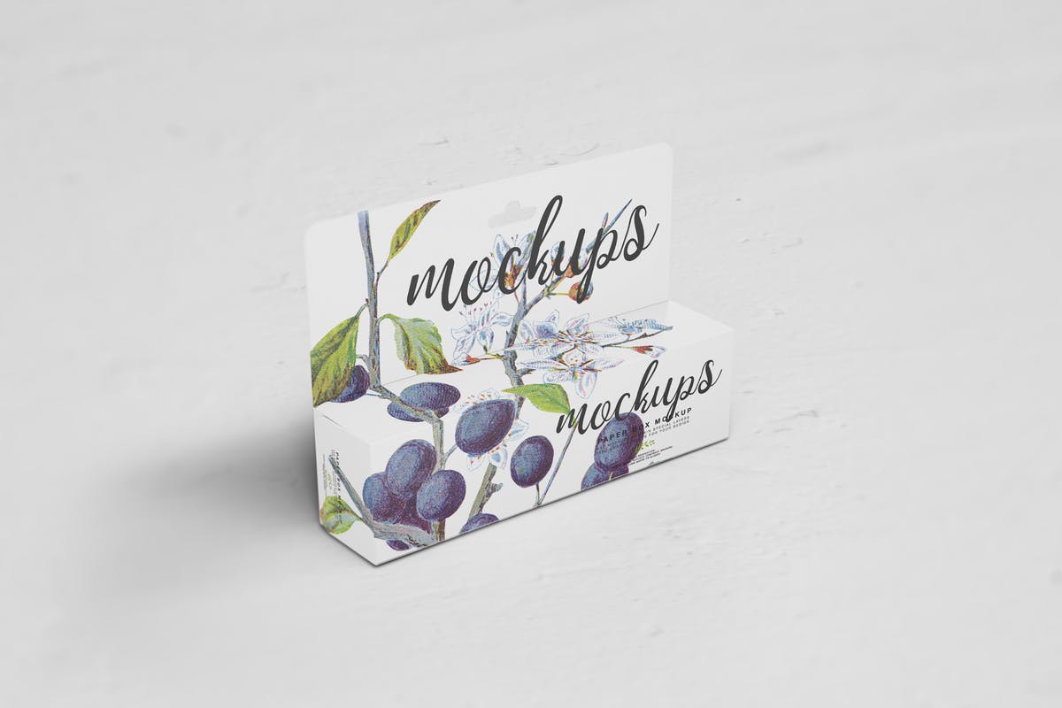 挂式纸盒包装样机模板10 Paper Box Mockup 10