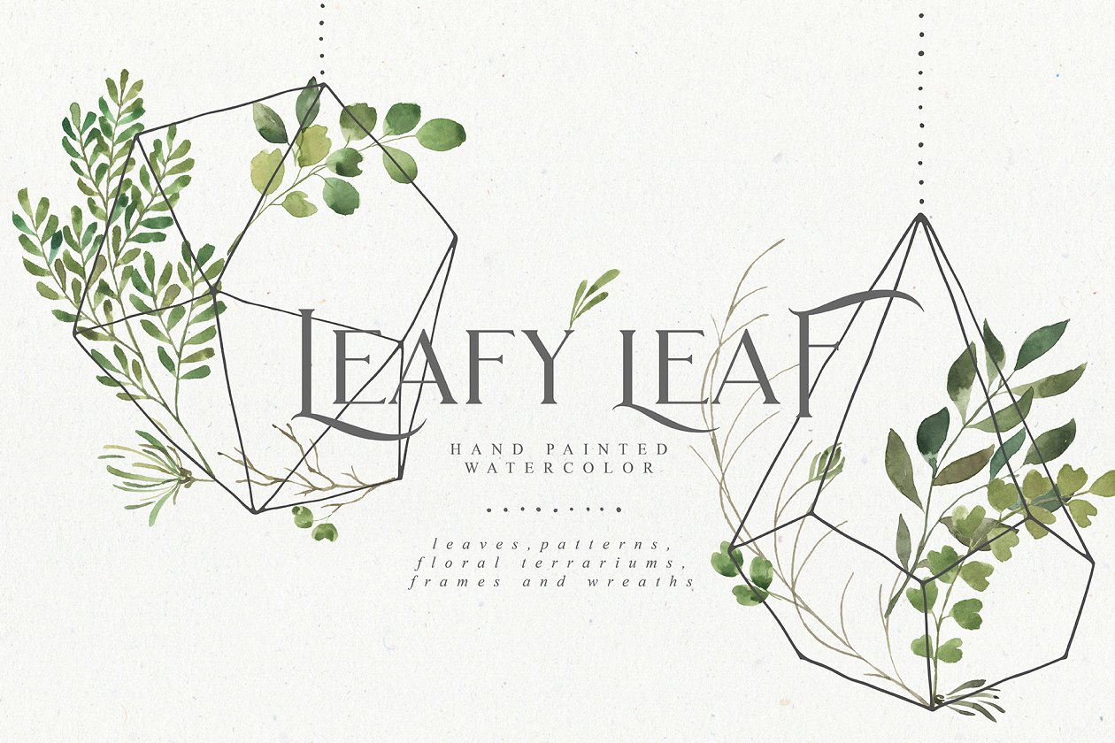 水彩树叶元素、相框、纹理素材包 Leafy Leaf Collection