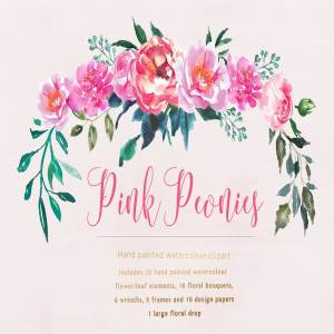 牡丹花水彩剪贴画 Peonies Pink Flower Clipart