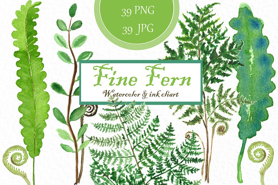 精美蕨类水彩水墨剪贴画合集 Fine ferns. watercolor clipart