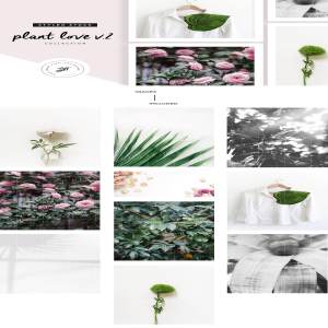 多风格植物叶子元素纹理 Plant Love V.2  Styled Stock Set
