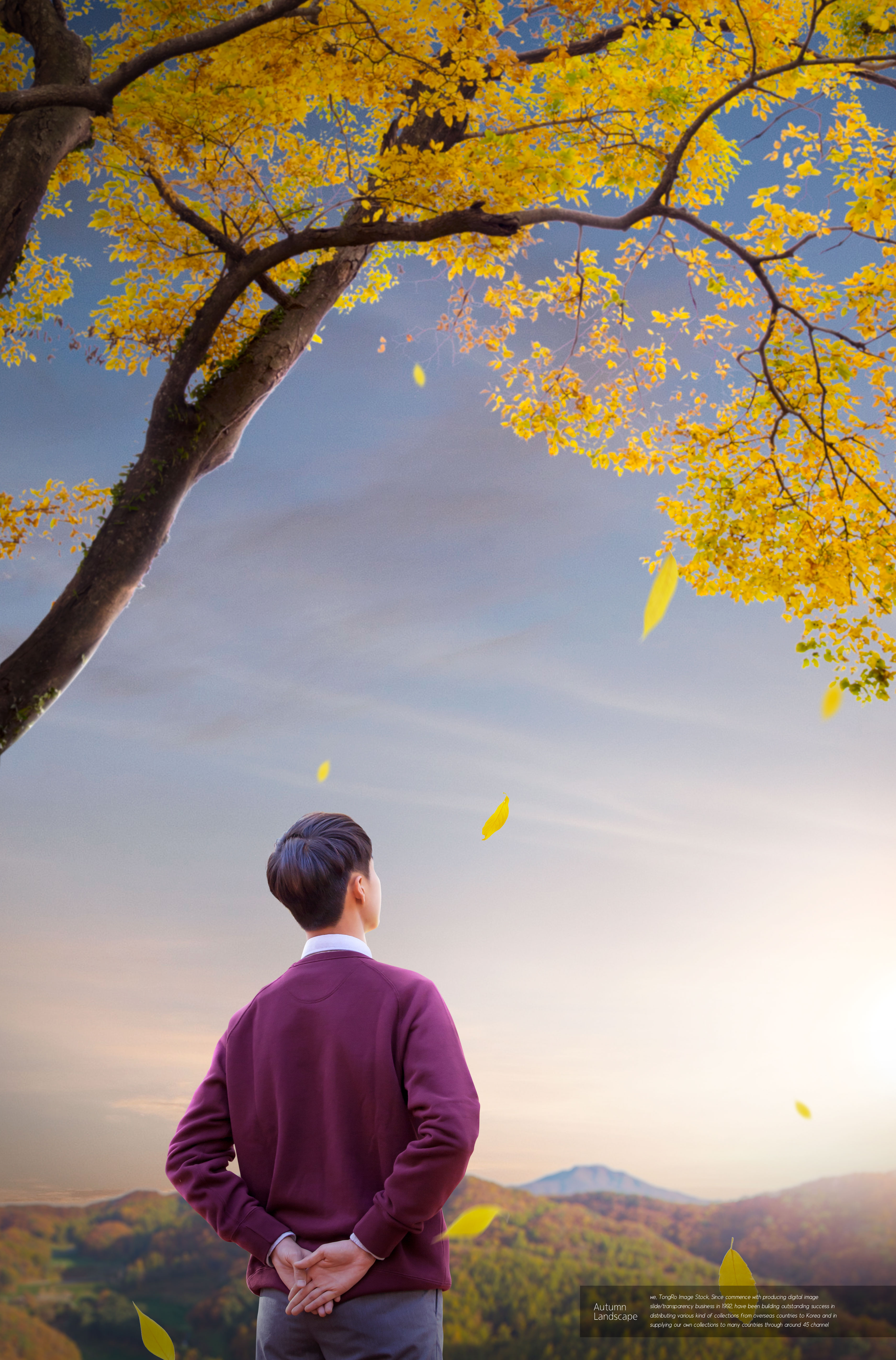 秋天唯美景色图片设计素材