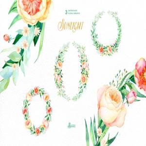46款高质量手绘水彩花卉剪贴画 Sunlight. Floral Collection