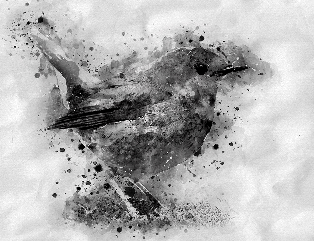 专业多功能水墨风格PS动作 Ink Art Photoshop Action