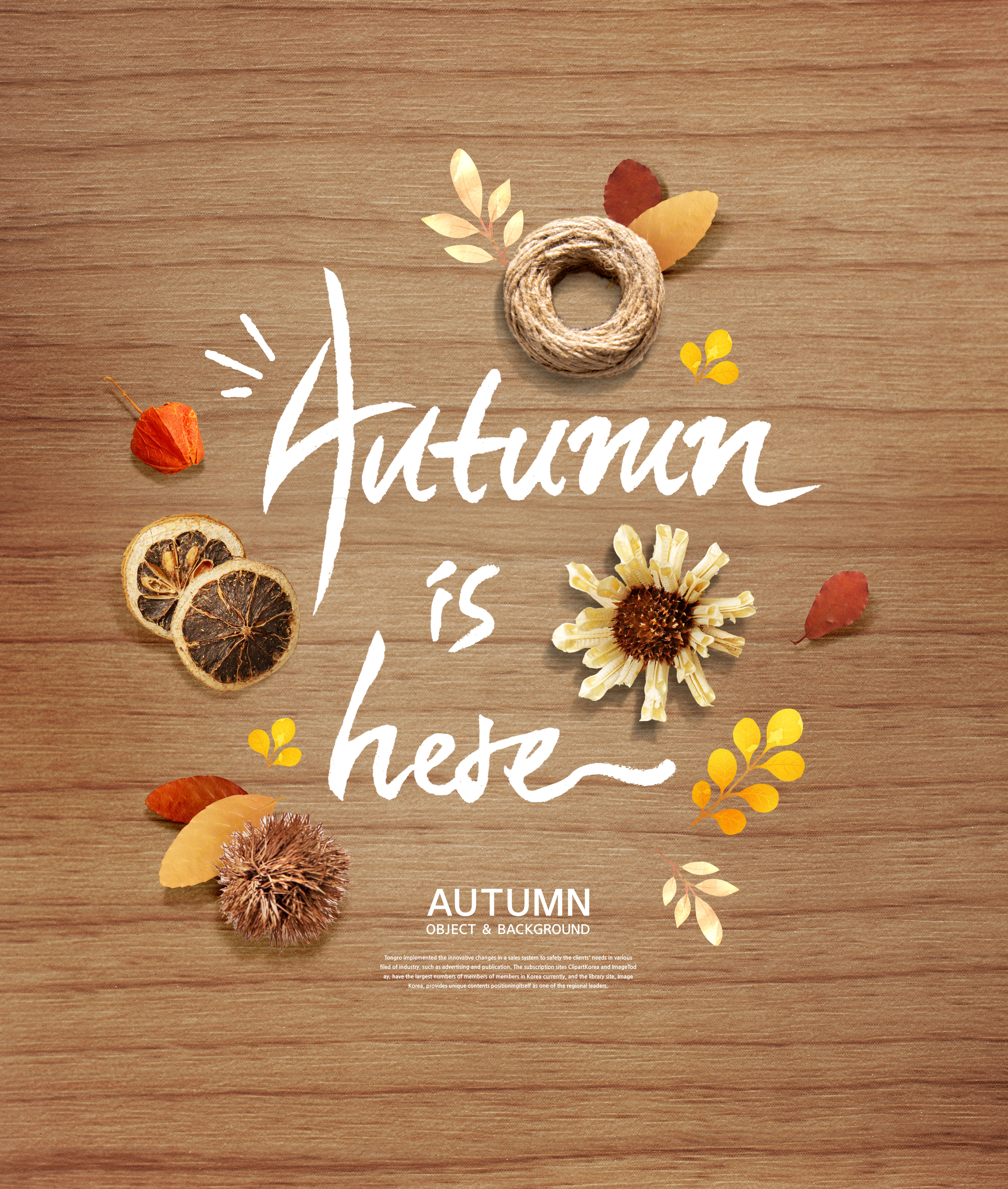 秋天季节海报背景图片psd素材