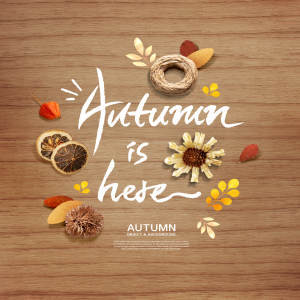 秋天季节海报背景图片psd素材