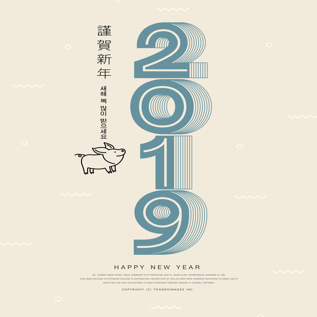 2019猪年创意图形与数字海报模板合集 PSD