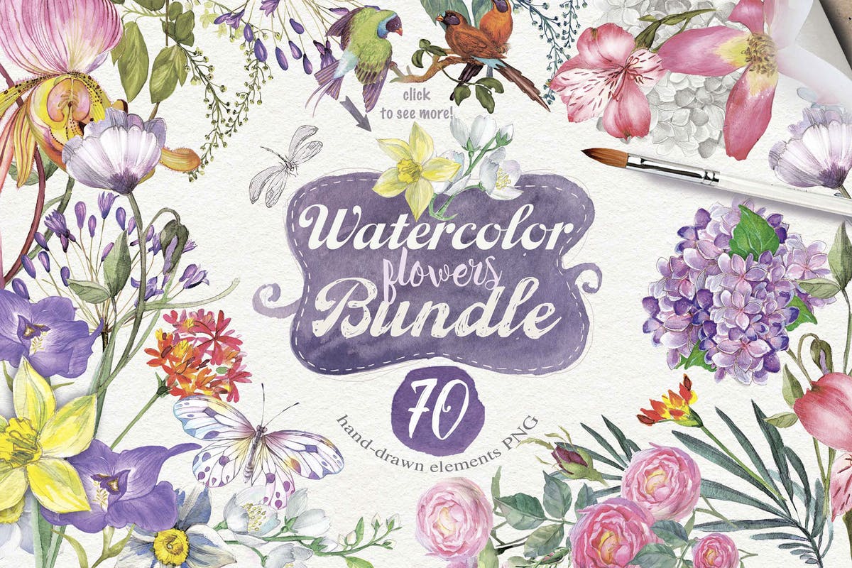 夏日花卉手绘水彩元素合集 70 SUMMER FLOWERS PNG