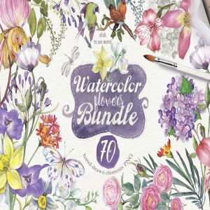 夏日花卉手绘水彩元素合集 70 SUMMER FLOWERS PNG